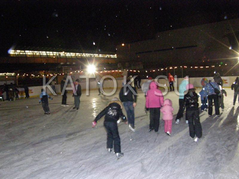 Каток бутово парк. Парк Южное Бутово каток. Каток синяя птица Бутово.